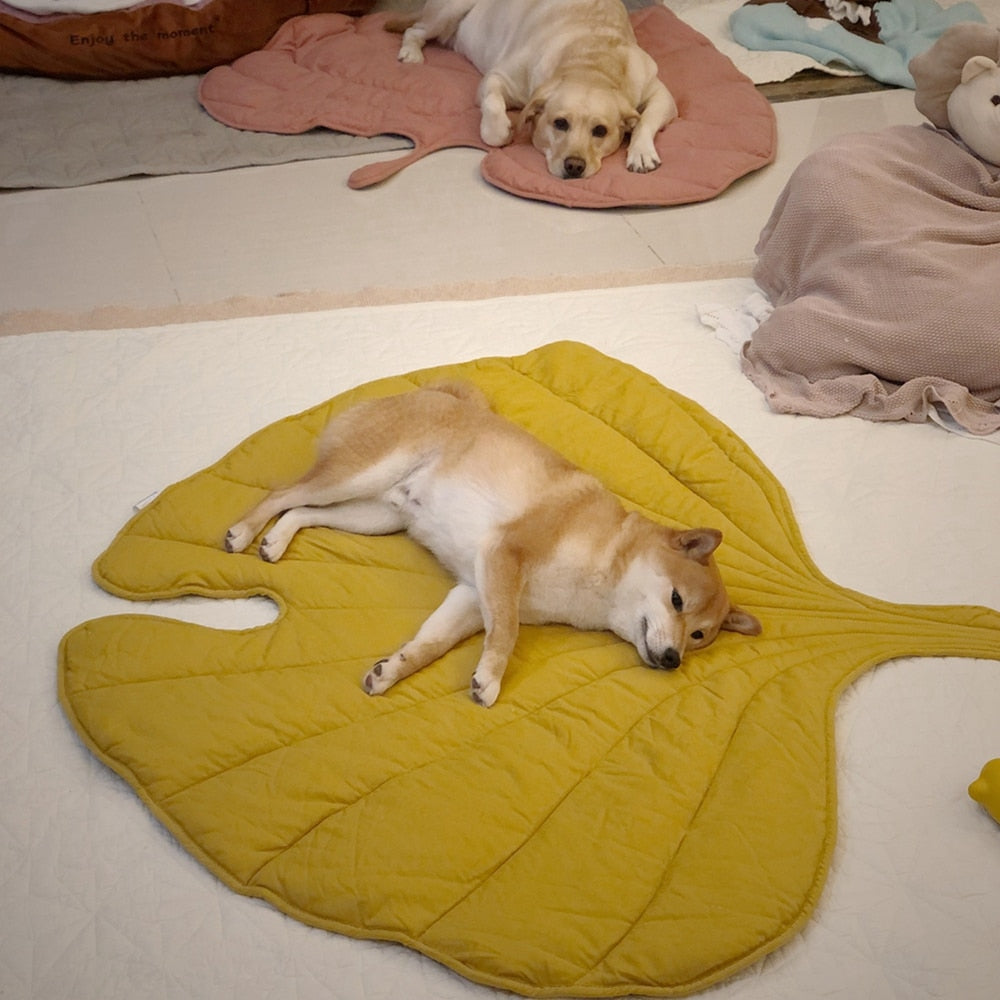 Leafy Pet Blanket