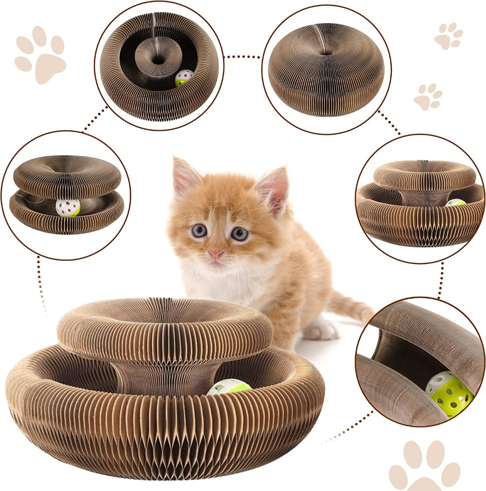Magic Organ Cat Scratcher