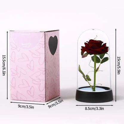 Eternal Rose in Glass Dome Decorative Flower Gift for Girlfriend