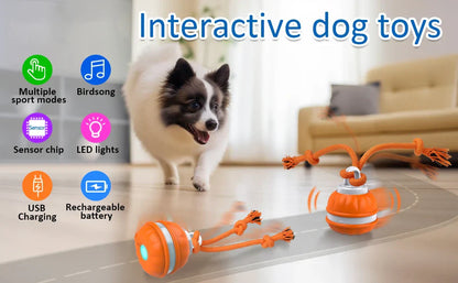 Smart Interactive Dog Toy Ball - Motion Activated Chew Toy