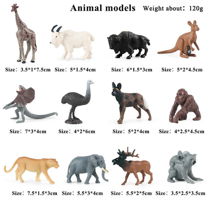 Montessori Miniature Lion Shark Horse Dinosaur Animals Model Set Action Figures