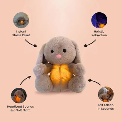 Sleepy Bunny Plush Toy