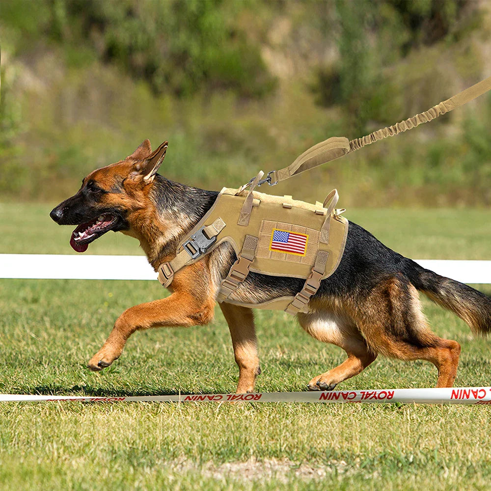 Large Dogs Training Harnesses With Pouches
