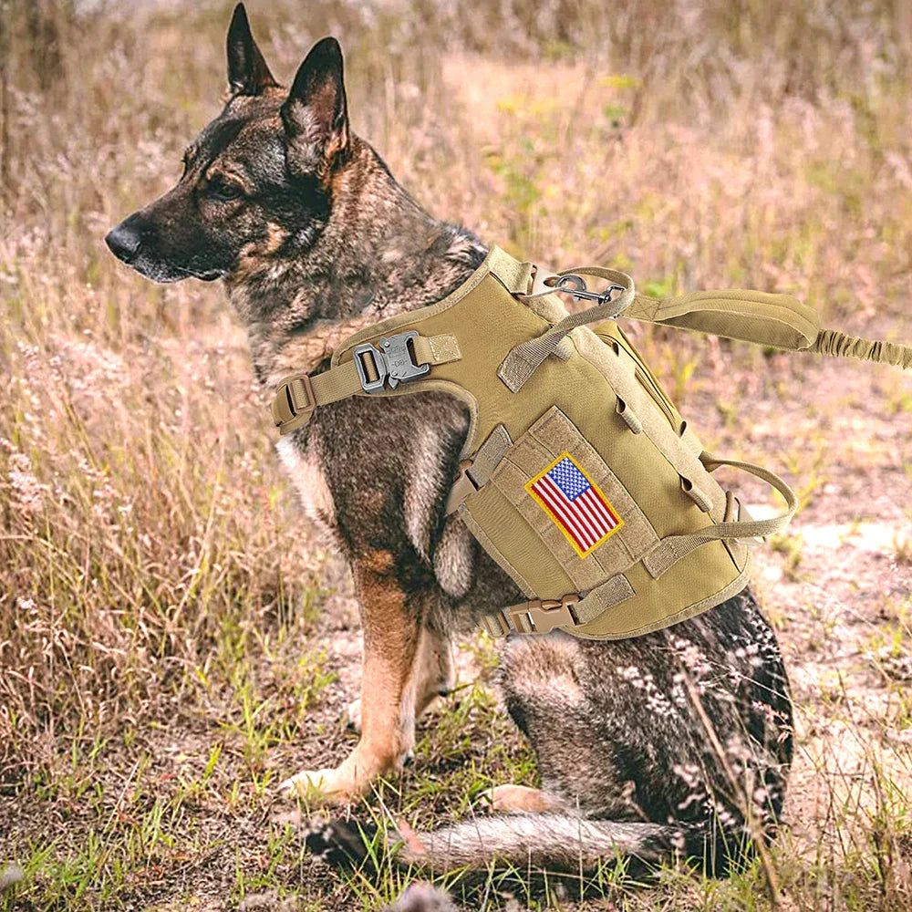 Large Dogs Training Harnesses With Pouches