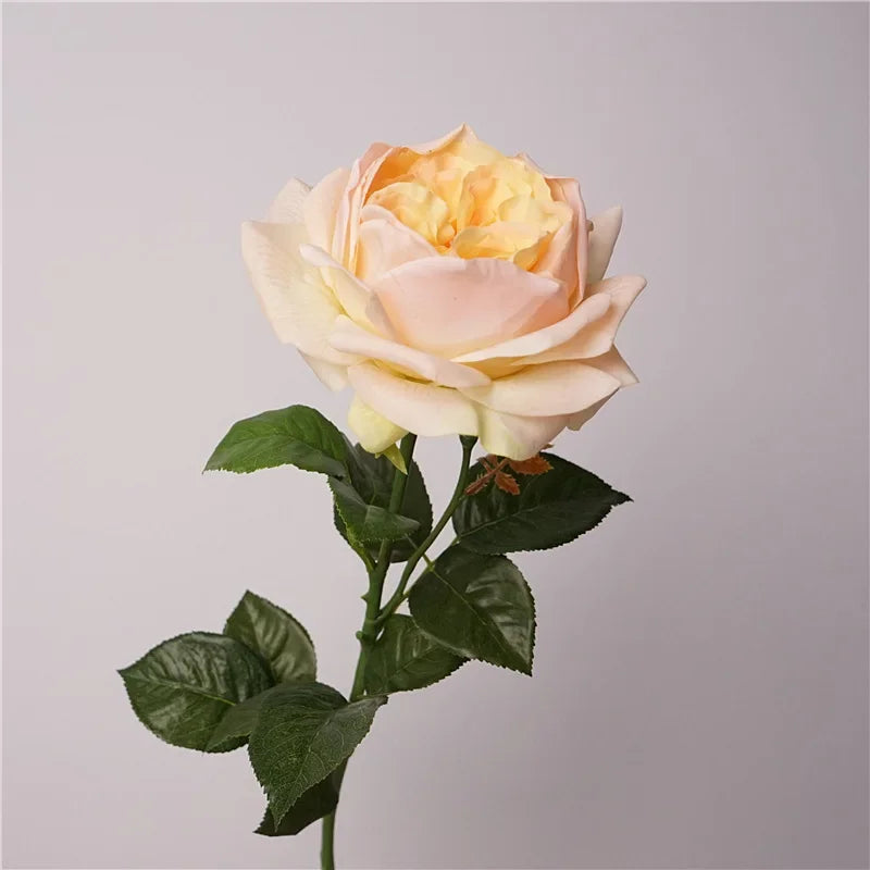Real Touch Austin Latex Rose Bouquet Set of 5