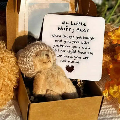 Pocket Worry Bear Plush with Encouragement Card Gift Box