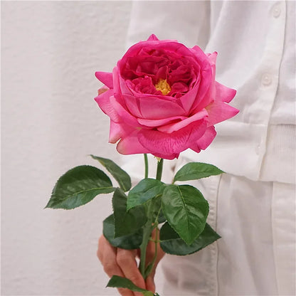 Real Touch Austin Latex Rose Bouquet Set of 5