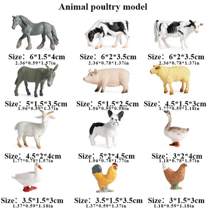 Montessori Miniature Lion Shark Horse Dinosaur Animals Model Set Action Figures