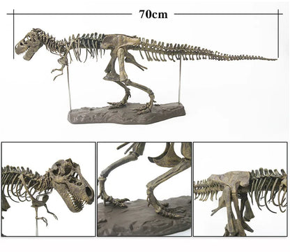 Dinosaur Skeleton Toys Ornament Simulation T-Rex Model