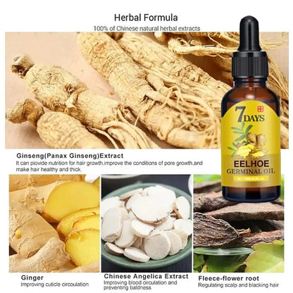 Ginger Growth Hair Oil Treatment