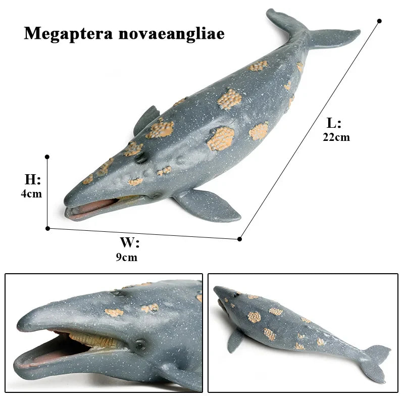 Ocean Animal Action Figures Sea Life Model