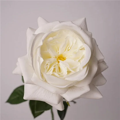 Real Touch Austin Latex Rose Bouquet Set of 5