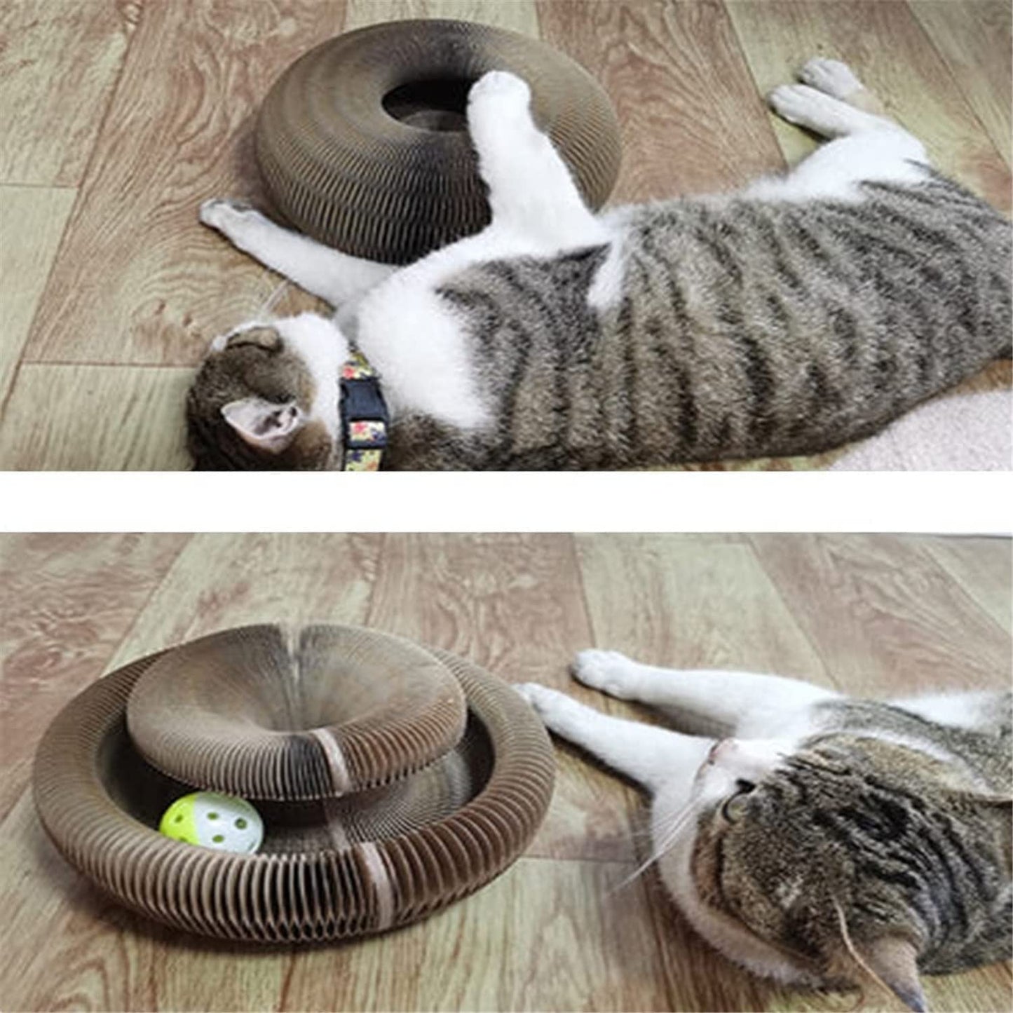 Magic Organ Cat Scratcher