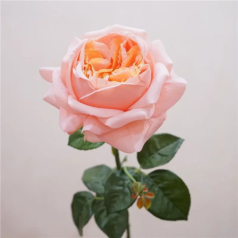 Real Touch Austin Latex Rose Bouquet Set of 5