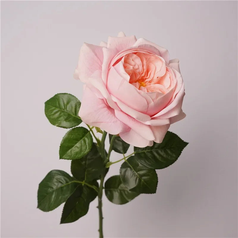 Real Touch Austin Latex Rose Bouquet Set of 5