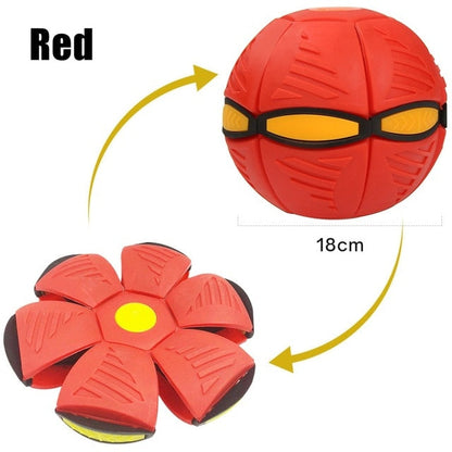 Magic Flying Saucer Dog Ball