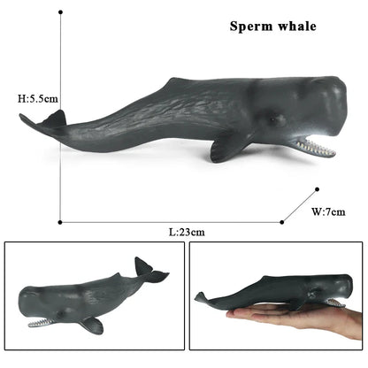 Ocean Animal Action Figures Sea Life Model