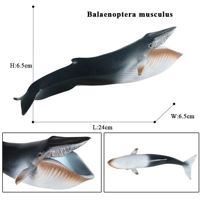 Ocean Animal Action Figures Sea Life Model