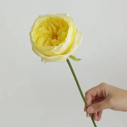 Real Touch Austin Rose Artificial Flowers Set of 7