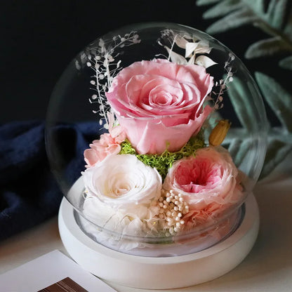 Preserved Red Rose and Carnation Dome with Wooden Base