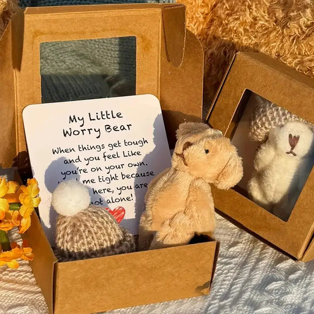 Mini Plush Teddy Bear Gift Box with Inspirational Card