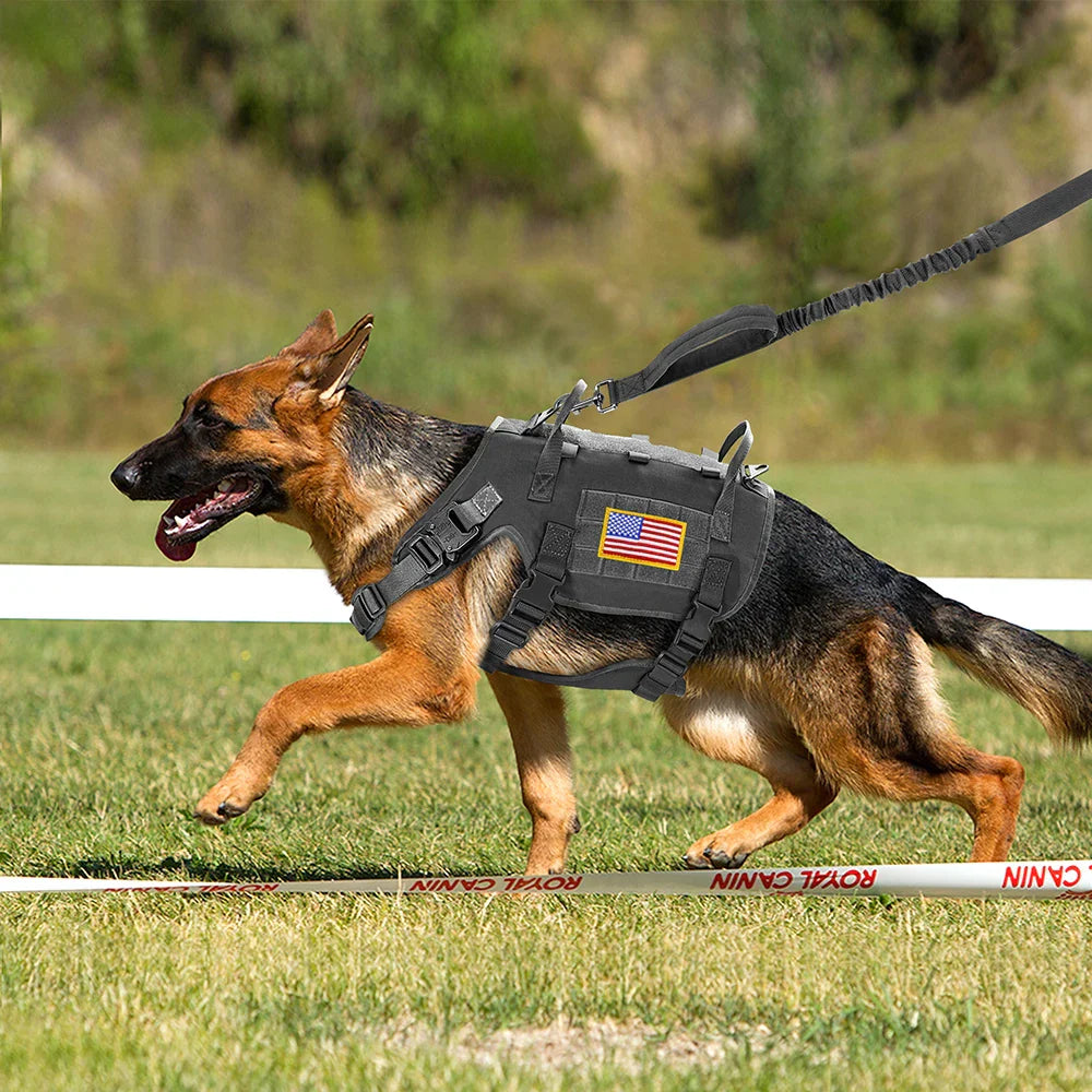 Large Dogs Training Harnesses With Pouches
