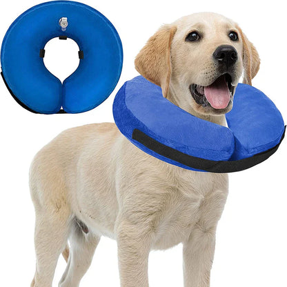 Inflatable Pet Recovery Collar