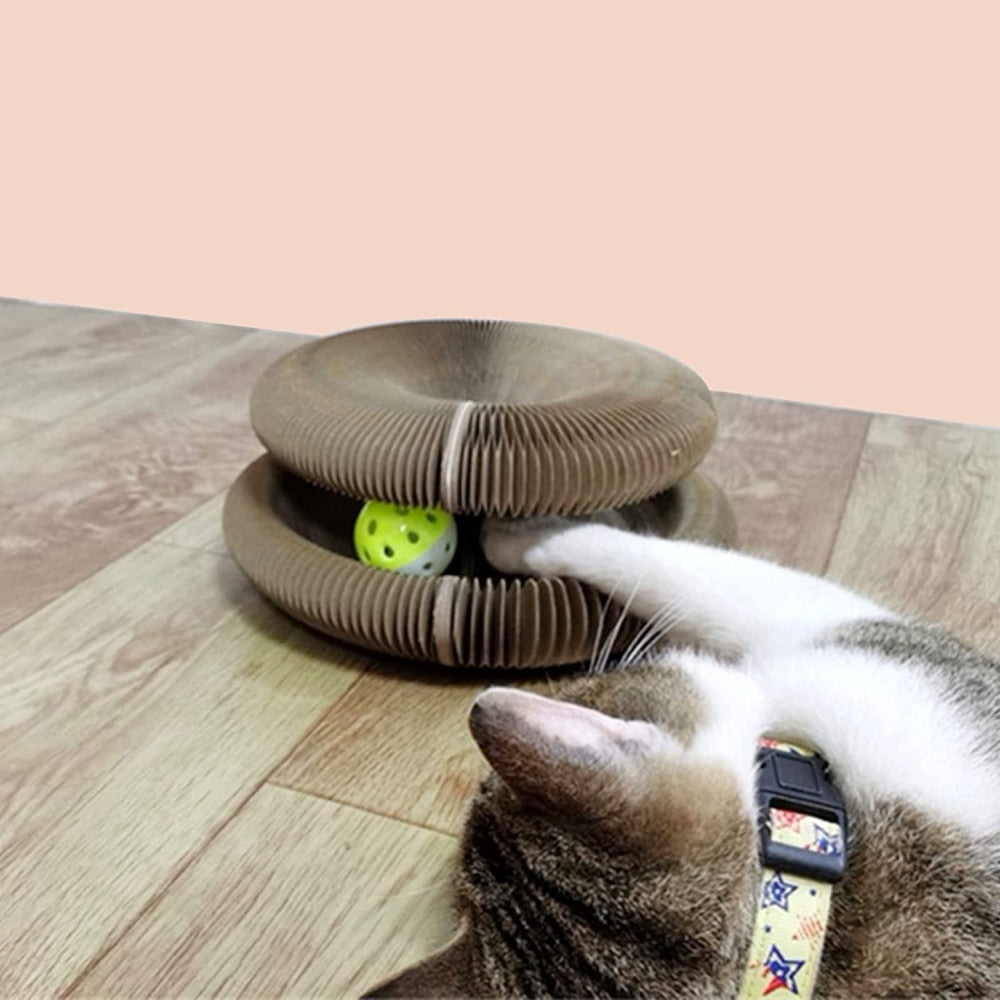 Magic Organ Cat Scratcher