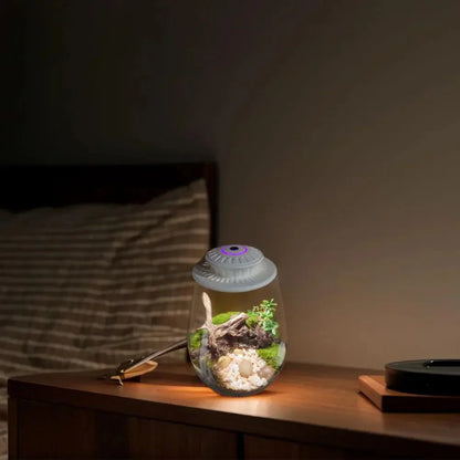 Glass Plant Terrarium With Grow Light