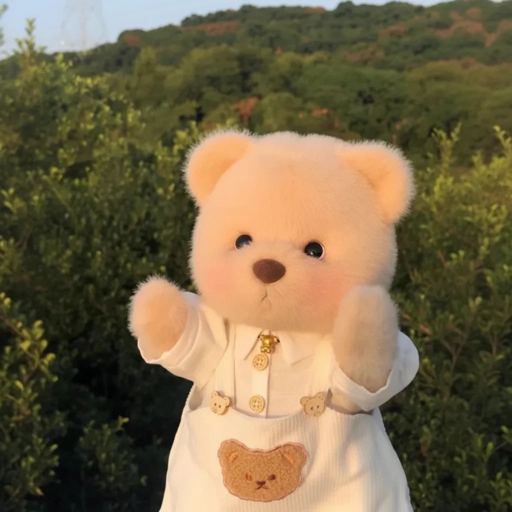 Handmade Teddy Bear Plush Doll with Outfit 30cm