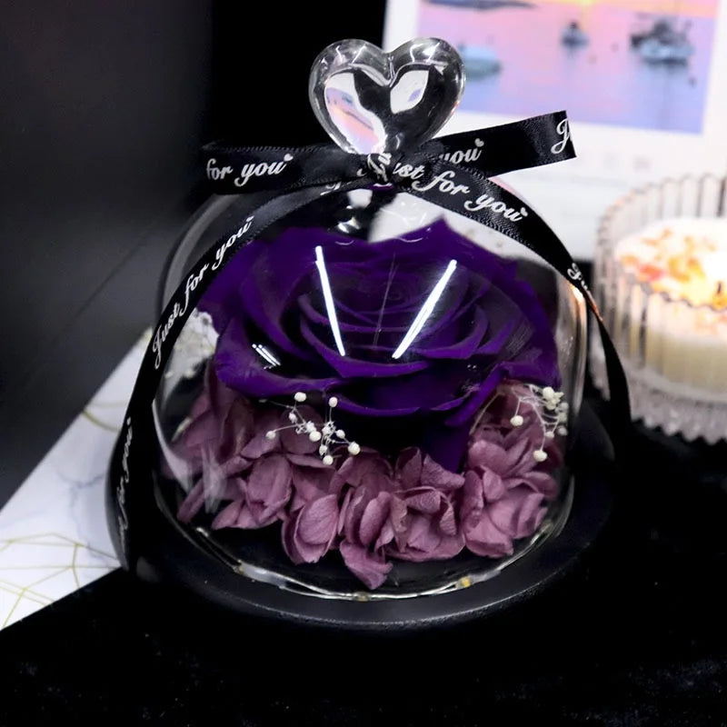 Forever Preserved Rose in Glass with Lamp for Valentine and Special Occasions