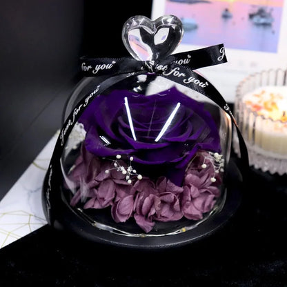Forever Preserved Rose in Glass with Lamp for Valentine and Special Occasions