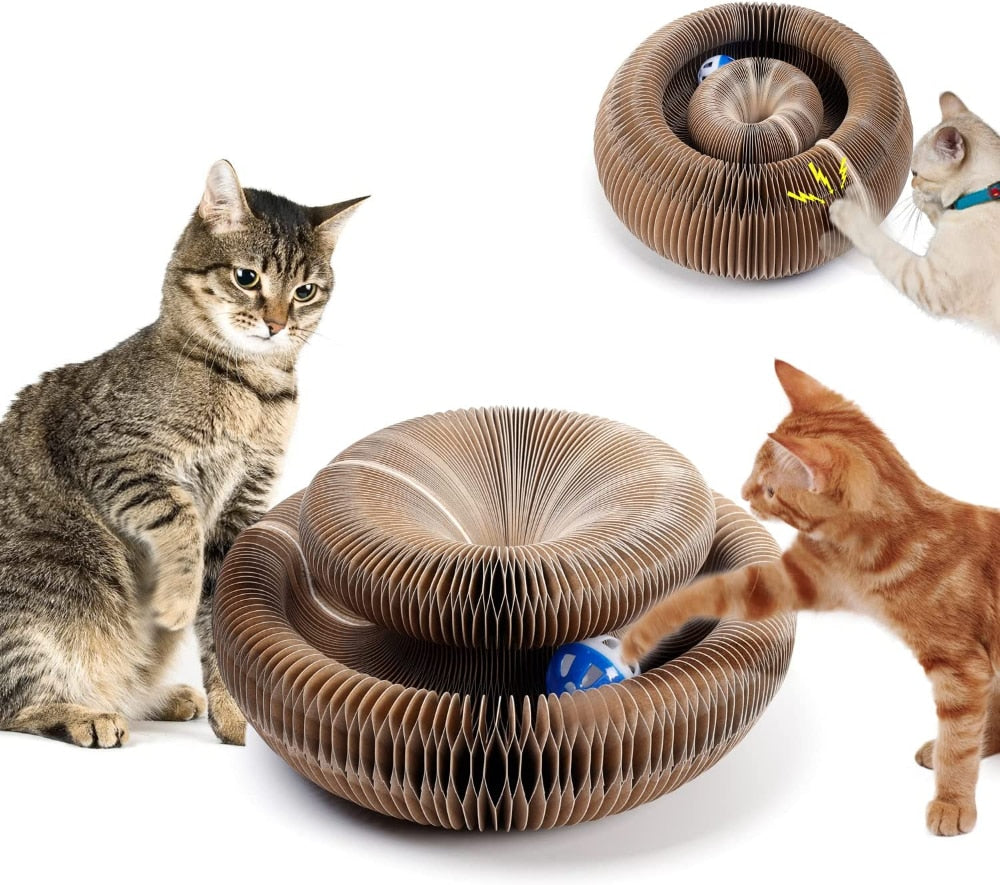Magic Organ Cat Scratcher