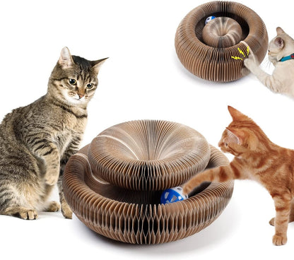 Magic Organ Cat Scratcher