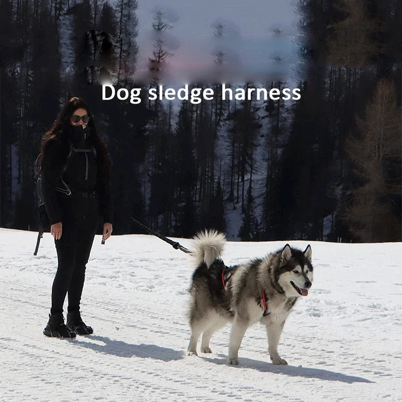 Dog Harness Mushing X Back Training Vest