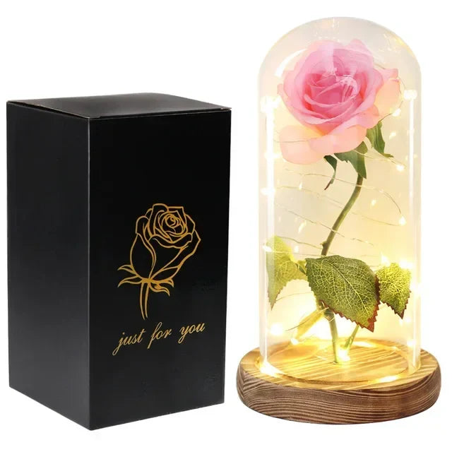 Acrylic Dome Eternal Rose Beauty Gift for Valentine
