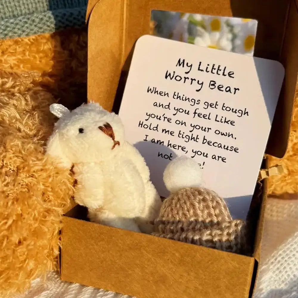 Mini Plush Teddy Bear Gift Box with Inspirational Card