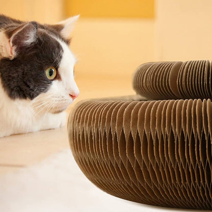 Magic Organ Cat Scratcher