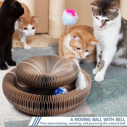 Magic Organ Cat Scratcher