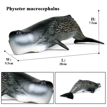 Ocean Animal Action Figures Sea Life Model