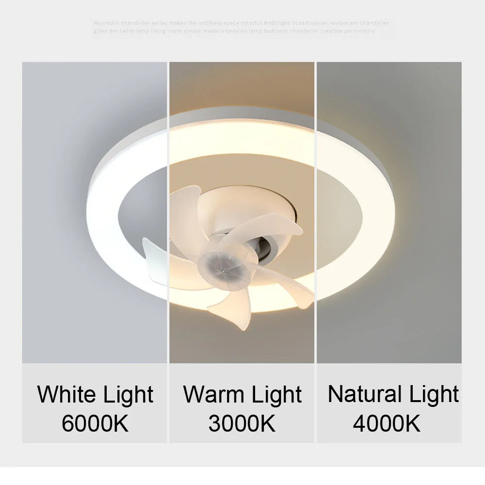2 In 1 Swivel Fan Led Lamp