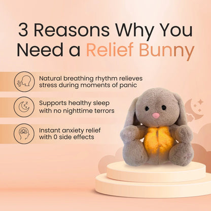Sleepy Bunny Plush Toy