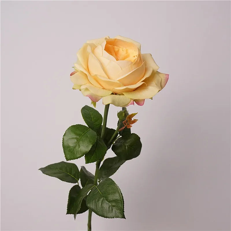 Real Touch Austin Latex Rose Bouquet Set of 5