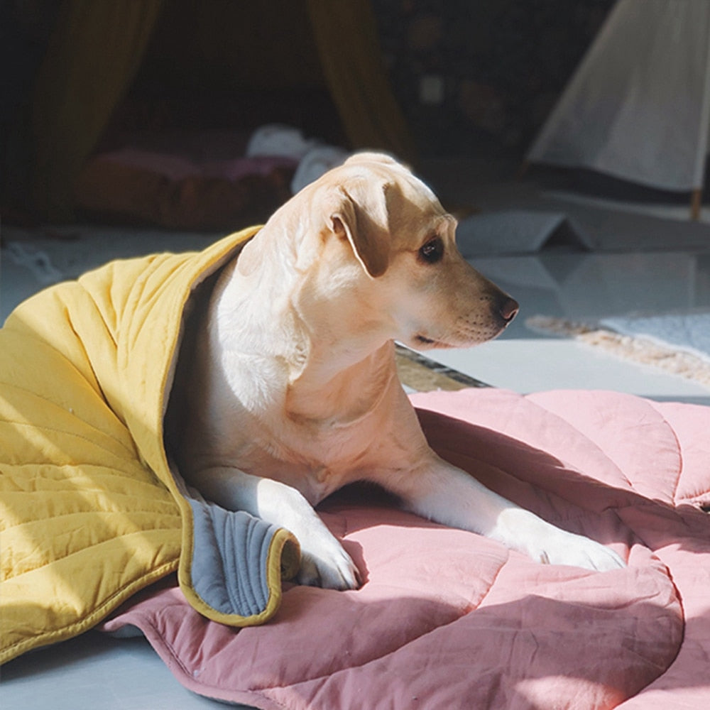 Leafy Pet Blanket