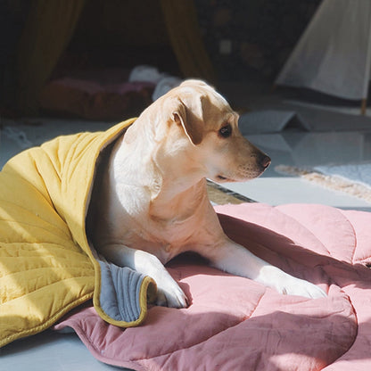 Leafy Pet Blanket