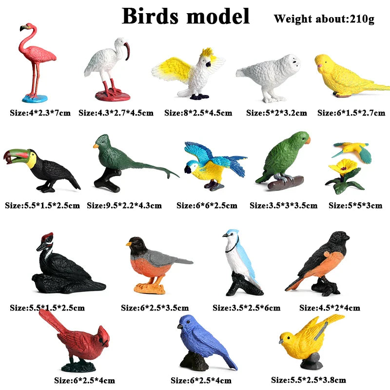 Montessori Miniature Lion Shark Horse Dinosaur Animals Model Set Action Figures