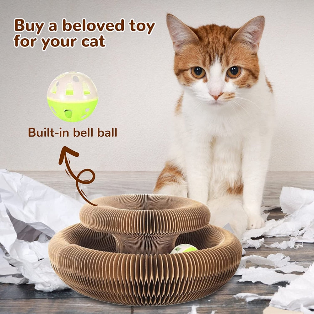 Magic Organ Cat Scratcher