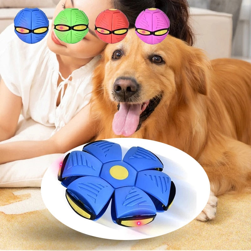 Magic Flying Saucer Dog Ball