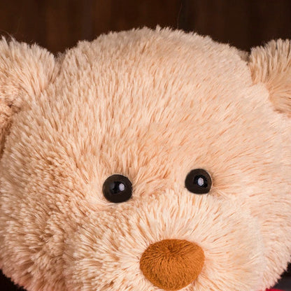 DIY Teddy Bear with Blank White T Shirt 11 Inch