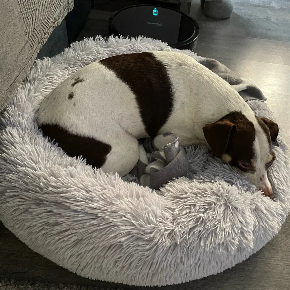 Super Soft Long Plush Dog Bed